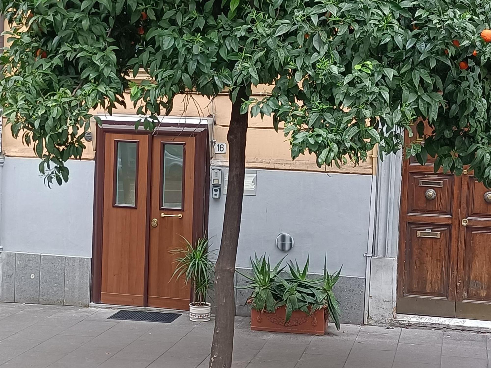 Viacatania16 Appartamento Roma